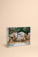 Katzen Adventskalender 2025